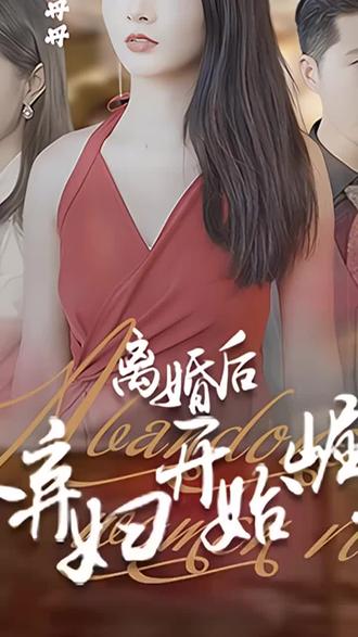 離婚后，從棄婦開始崛起(全集)